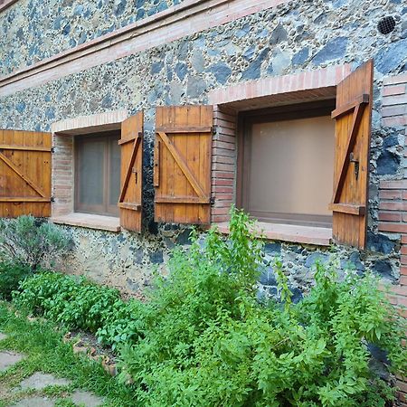 Apartaments Les Voltes Les Preses Extérieur photo